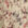 KTN-29-Crimson-Vine